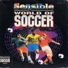 Juego online Sensible World of Soccer (AMIGA)