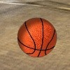 Juego online True Basketball
