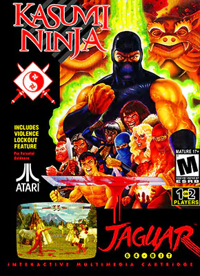 Portada de la descarga de Kasumi Ninja