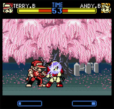 Fatal Fury: First Contact