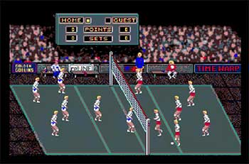 Pantallazo del juego online Volleyball Simulator (AMIGA)