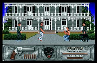 Pantallazo del juego online Wild Streets (AMIGA)