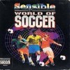 Sensible World of Soccer (AMIGA)