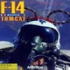 Juego online F-14 Tomcat (PC)