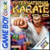Juego online International Karate (GB COLOR)