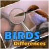 Birds Differences