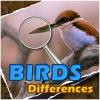 Juego online Birds Differences Juego online Birds Differences