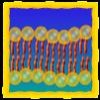 Juego online Cell Defense: The Plasma Membrane Juego online Cell Defense: The Plasma Membrane