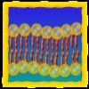 Juego online Cell Defense: The Plasma Membrane