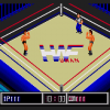 Juego online Fire Pro Wrestling Gaiden (Genesis)