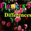 Juego online Flowers Differences
