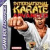 Juego online International Karate Advance (GBA)
