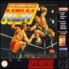 Juego online Natsume Championship Wrestling (Snes)