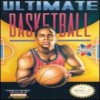 Juego online Ultimate Basketball