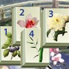 Juego online Mahjong - Valley in the mountains