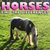 Juego online Differences: Horses