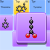 Juego online Amino Acid Match Game