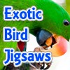 Juego online Exotic Bird Jigsaw Tournament