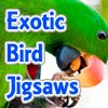 Juego online Exotic Bird Jigsaw Tournament Juego online Exotic Bird Jigsaw Tournament