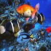 Juego online Underwater Adventure Hidden Object