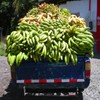 Juego online Jigsaw: Banana Truck