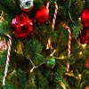 Juego online Jigsaw: Christmas Tree Closeup