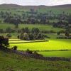 Juego online Jigsaw: Yorkshire Countryside