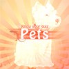 Juego online Know your pets