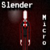 Juego online Slender Micro