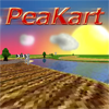 Juego online PeaKart