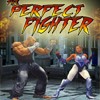 The Perfect Fighter 1-0