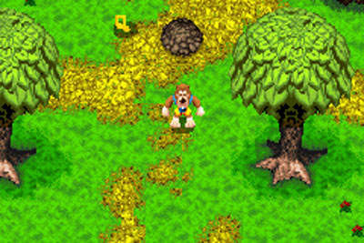 Pantallazo del juego online Banjo Kazooie - La venganza de Grunty (GBA)