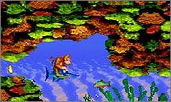 Pantallazo del juego online Donkey Kong Country (GBA)