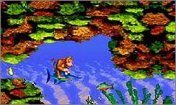Pantallazo del juego online Donkey Kong Country (GBA)