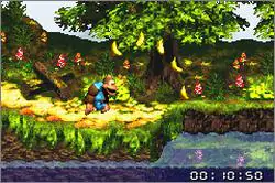 Donkey Kong Country 3