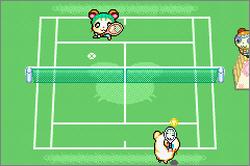 Pantallazo del juego online Hamtaro Ham-Ham Games (GBA)