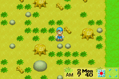 Pantallazo del juego online Harvest Moon Friends of Mineral Town (GBA)