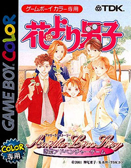 Carátula del juego Hana Yori Dango Another Love Story (GBC)