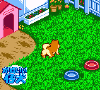 Pantallazo del juego online Nakayoshi Pet Series 3 Kawaii Koinu (GBC)