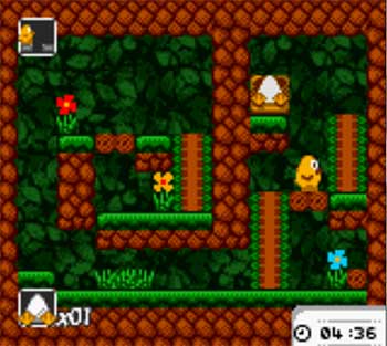 Pantallazo del juego online Toki Tori (GBC)