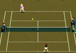 Imagen de la descarga de Grandslam: The Tennis Tournament