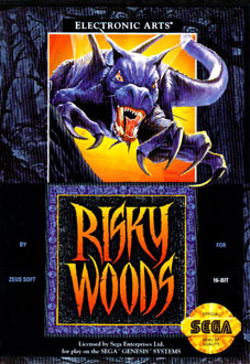 Carátula del juego Risky Woods (Genesis)