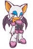 dsdm