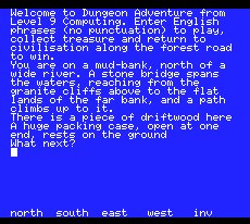 Pantallazo del juego online Dungeon Adventure (MSX)