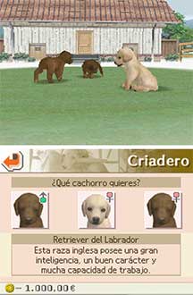 Pantallazo del juego online Nintendogs Labrador and Friends (NDS)