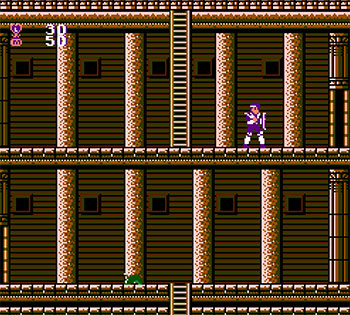 Pantallazo del juego online Chester Field (NES)