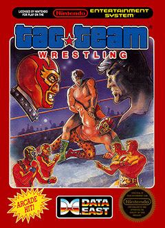 Carátula del juego Tag Team Wrestling (NES)