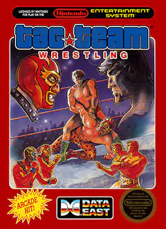 Portada de la descarga de Tag Team Wrestling