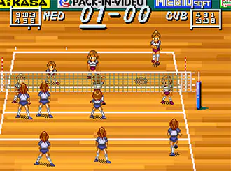 Imagen de la descarga de Multi Play Volleyball